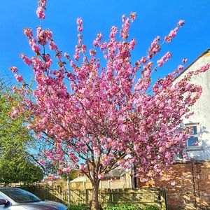 I just have to show you how beautiful spring can be